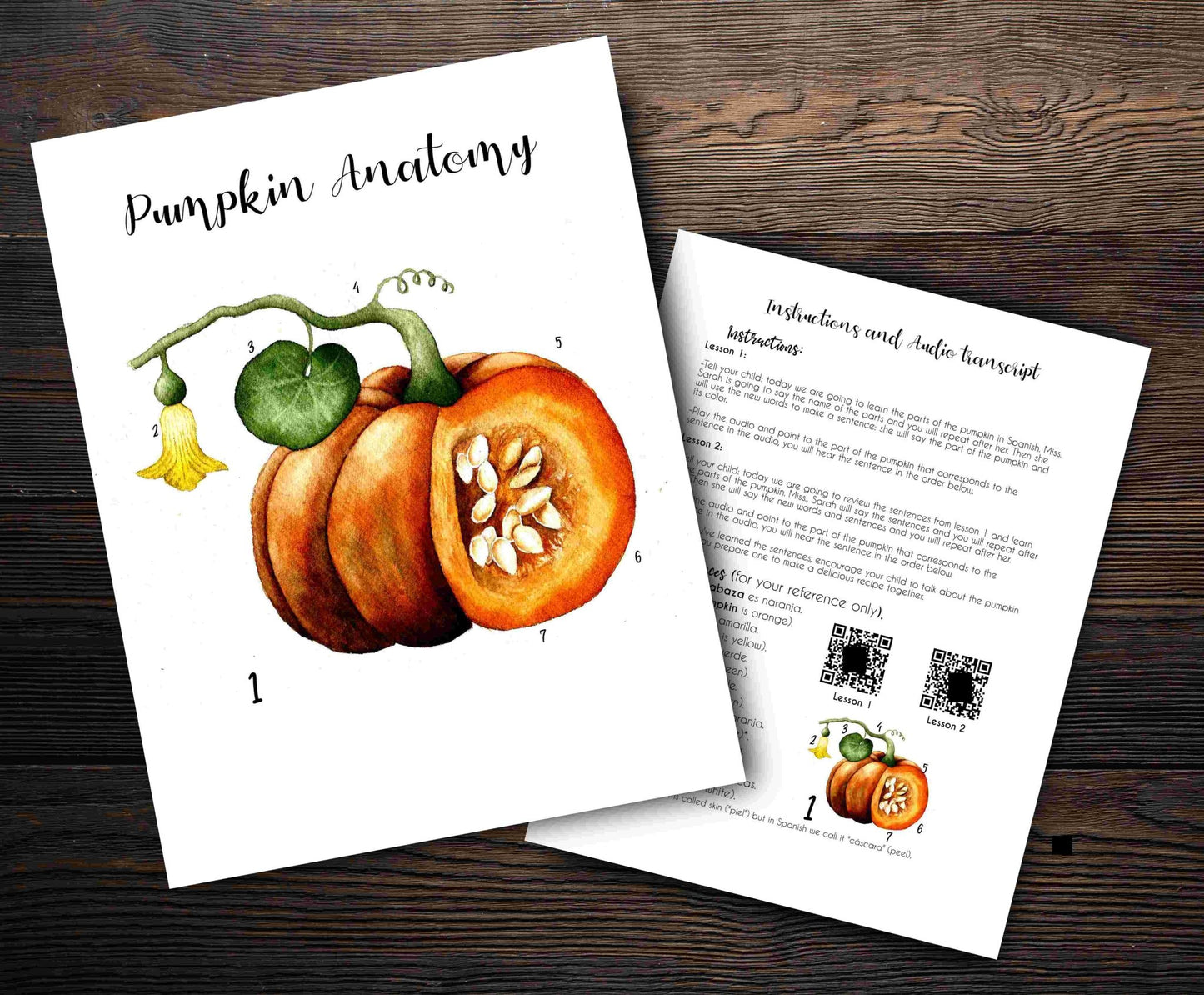 Pumpkin Anatomy Spanish - Charlotte Mason Simple Spanish